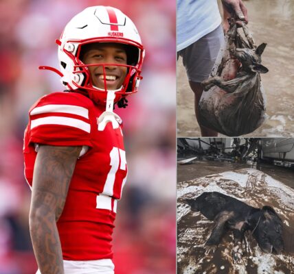 Jacory Barney Jr. Takes Action to Save Animals After Typhoon Tino