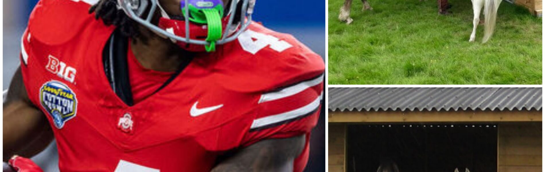 BREAKING NEWS: Ohio State Star Jeremiah Smith Opens “Freedom Ranch” — A $4 Million, 150-Acre Sanctuary in Florida Dedicated to Rescuing Abandoned Horses