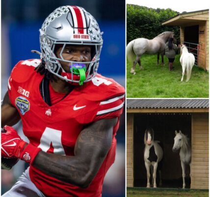 BREAKING NEWS: Ohio State Star Jeremiah Smith Opens “Freedom Ranch” — A $4 Million, 150-Acre Sanctuary in Florida Dedicated to Rescuing Abandoned Horses