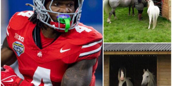 BREAKING NEWS: Ohio State Star Jeremiah Smith Opens “Freedom Ranch” — A $4 Million, 150-Acre Sanctuary in Florida Dedicated to Rescuing Abandoned Horses