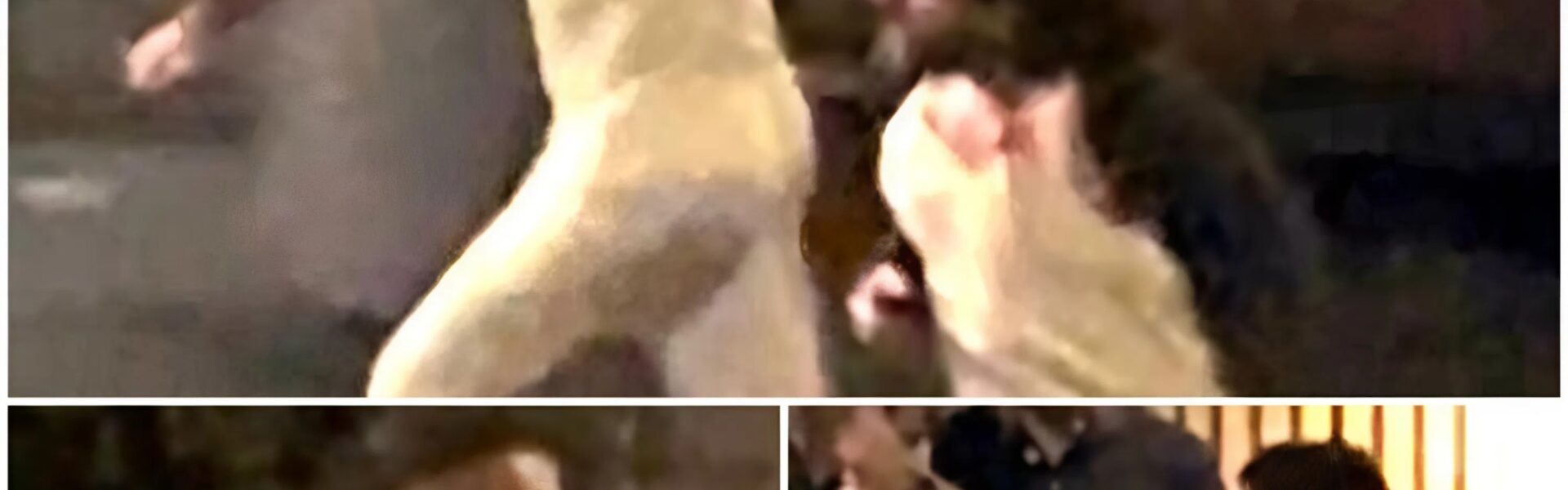 Großeinsatz nach Schüssen im Phoenix‑Viertel