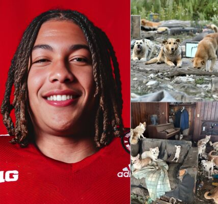 TJ Lateef Turns Game Bonus Into Hope for Abandoned Animals