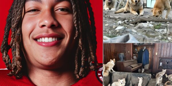 TJ Lateef Turns Game Bonus Into Hope for Abandoned Animals