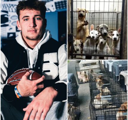 🐾 BREAKING ❤️: Penn State Quarterback Ethan Grunkemeyer Donates Entire Game Bonus After Victory to Open Shelter for Abandoned Animals — “Winning Is Temporary. Compassion Lasts Forever.”