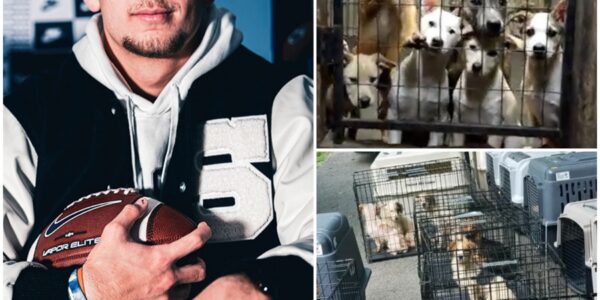 🐾 BREAKING ❤️: Penn State Quarterback Ethan Grunkemeyer Donates Entire Game Bonus After Victory to Open Shelter for Abandoned Animals — “Winning Is Temporary. Compassion Lasts Forever.”