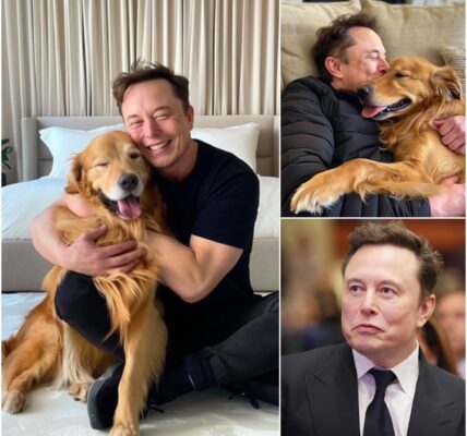 Elon Musk STUNS the world — pledges $20M to create a LUXURY HAVEN for stray dogs, promising forever homes to thousands of abandoned puppies!