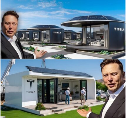 END OF BOXABL: $7,995 TESLA TINY HOUSE REVEALED! BEST FREE LAND DEAL EVER!