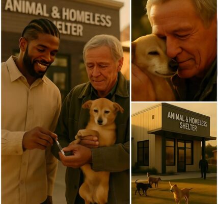 “He gave everything he had — so I gave him what he deserved.” — Shedeur Sanders Builds $10 Million Homeless and Animal Shelter for Kindhearted Veteran