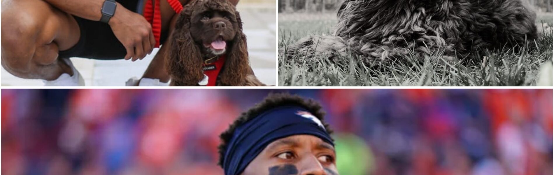 BREAKINGNEWS: Courtland Sutton shares heartbreaking loss of his beloved dog — a final gift from his late grandmother