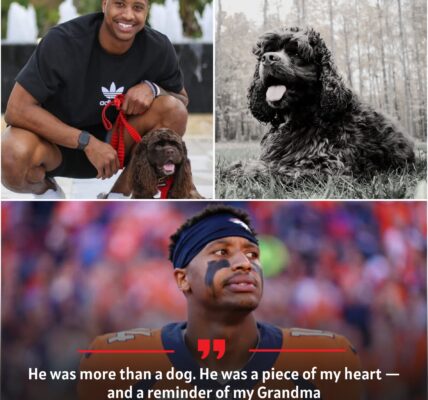 BREAKINGNEWS: Courtland Sutton shares heartbreaking loss of his beloved dog — a final gift from his late grandmother