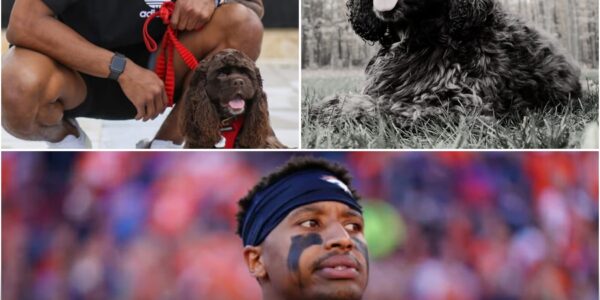 BREAKINGNEWS: Courtland Sutton shares heartbreaking loss of his beloved dog — a final gift from his late grandmother