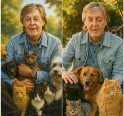 Paul McCartney’s Unexpected Mission: Turning Concert Profits Into a Sanctuary for Stray Animals