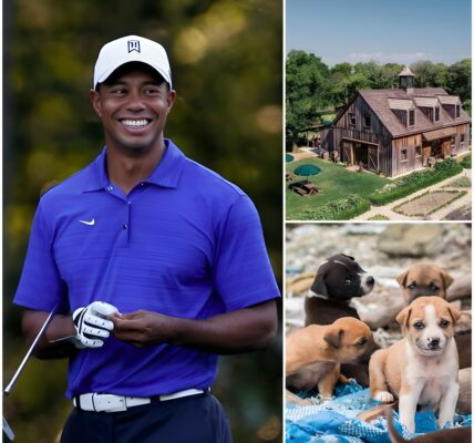 The Silent Sanctuary: Inside Tiger Woods’ Secret 120-Acre Refuge for Abandoned Dogs — And the Hidden Story Behind It