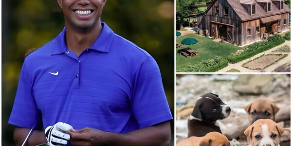 The Silent Sanctuary: Inside Tiger Woods’ Secret 120-Acre Refuge for Abandoned Dogs — And the Hidden Story Behind It