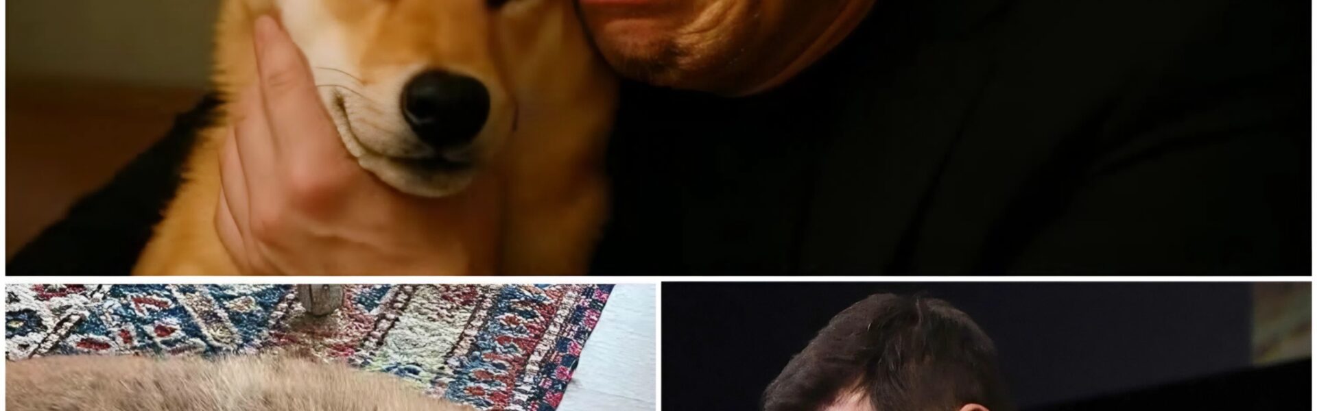 Elon Musk’s Beloved Floki on the Brink: Billionaire Desperately Fights to Save Shiba Inu from Mysterious Illness and “Invisible” Forces