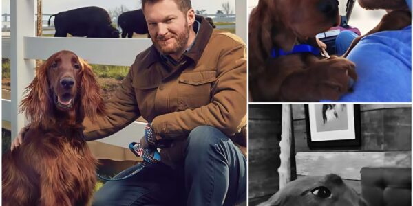 DALE JR. BREAKS HIS SILENCE: HEARTFELT MESSAGE TO LEWIS HAMILTON AS NASCAR WORLD SHAKEN BY HIS OWN DOG’S MEDICAL EMERGENCY