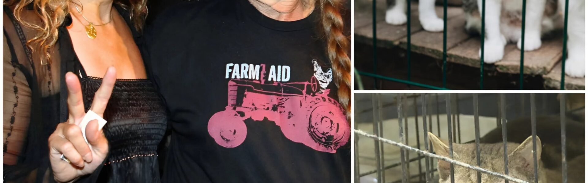 Willie Nelson Opens $5 Million Cat Sanctuary in Texas — A True Legacy of Kindness