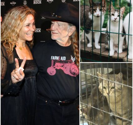 Willie Nelson Opens $5 Million Cat Sanctuary in Texas — A True Legacy of Kindness