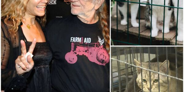 Willie Nelson Opens $5 Million Cat Sanctuary in Texas — A True Legacy of Kindness