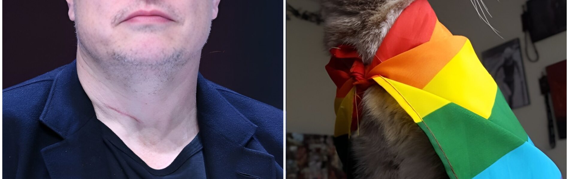 BREAKING: Elon Musk ignites a firestorm after declaring he “won’t celebrate Pride Month,” adding that “woke doesn’t deserve a holiday.