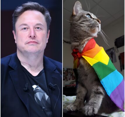 BREAKING: Elon Musk ignites a firestorm after declaring he “won’t celebrate Pride Month,” adding that “woke doesn’t deserve a holiday.