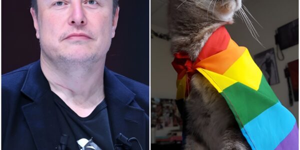BREAKING: Elon Musk ignites a firestorm after declaring he “won’t celebrate Pride Month,” adding that “woke doesn’t deserve a holiday.