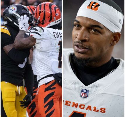 REPORT: After receiving the harsh NFL punishment, the Bengals wide receiver immediately filed an appeal...