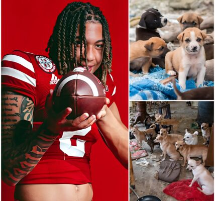 TJ Lateef Turns UCLA Victory into a Life-Changing Mission for Abandoned Animals