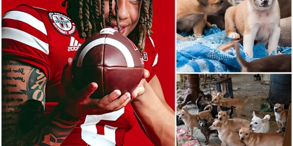 TJ Lateef Turns UCLA Victory into a Life-Changing Mission for Abandoned Animals