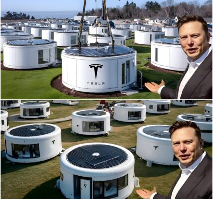 ELON MUSK UNVEILS $5,678 TESLA TINY HOUSE 2025 — REAL ESTATE INDUSTRY STUNNED! Elon Musk has just unveiled the Tesla Tiny House 2025, and it’s shaking the housing market to its core.