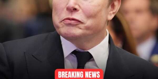 BREAKING: Elon Musk and Wife Grimes Erase $667,000 in School Lunch Debt Across 103 Schools