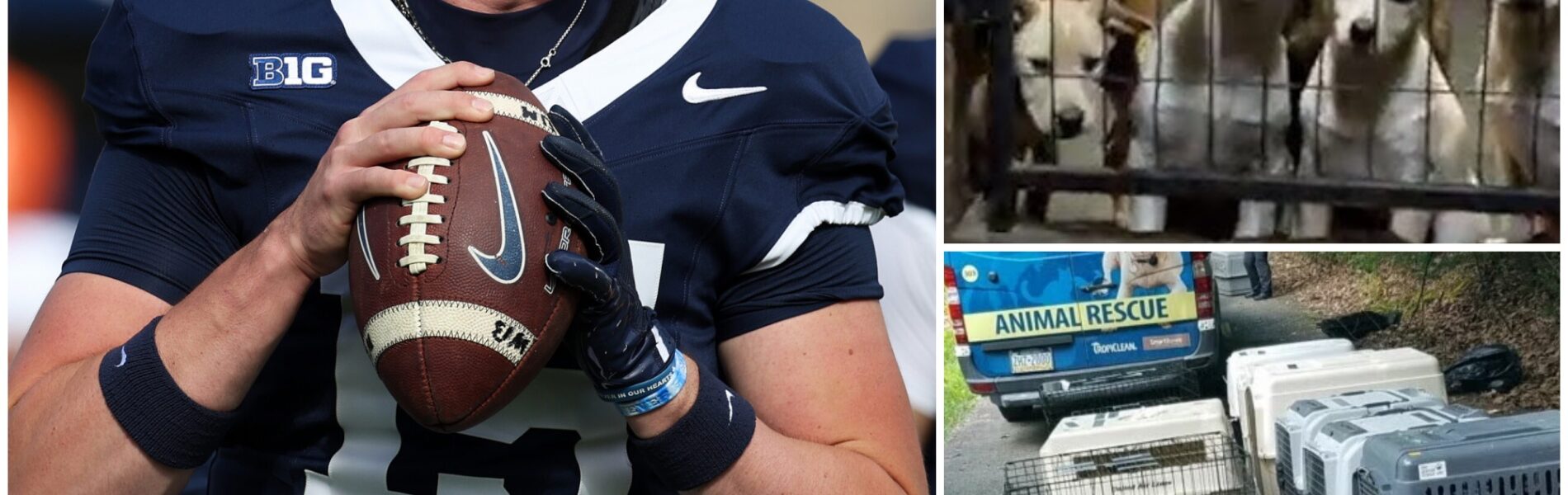 BREAKING NEWS ❤️: Drew Allar Donates His Entire Game Bonus to Launch an Abandoned Animal Protection Center — “A Victory Bigger Than Football”