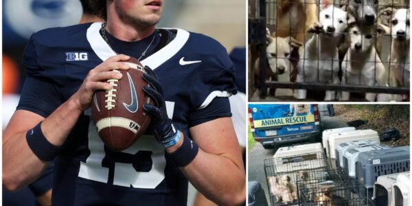 BREAKING NEWS ❤️: Drew Allar Donates His Entire Game Bonus to Launch an Abandoned Animal Protection Center — “A Victory Bigger Than Football”