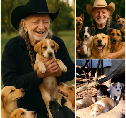 WILLIE NELSON ANNOUNCES $5 MILLION PLAN TO RESCUE STRAY DOGS: A LEGEND PUTS HIS HEART INTO ACTION