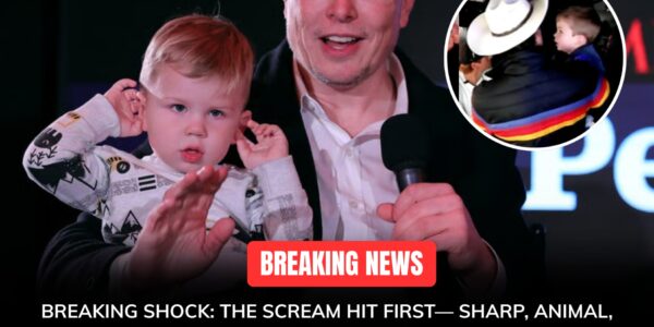 BREAKING REPORT: THE YELLOWJACKET INCIDENT THAT SENT ELON MUSK RUNNING — AND THE TERRIFYING SECONDS THAT FOLLOWED...