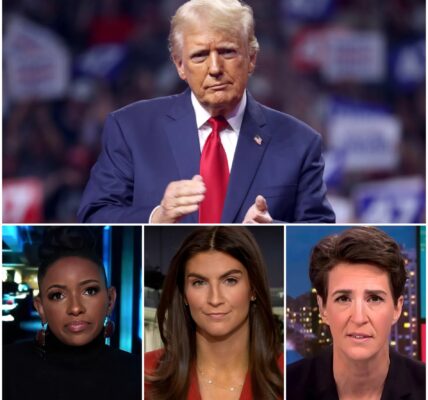 He Challenged Her. She Answered — and He Went Silent...