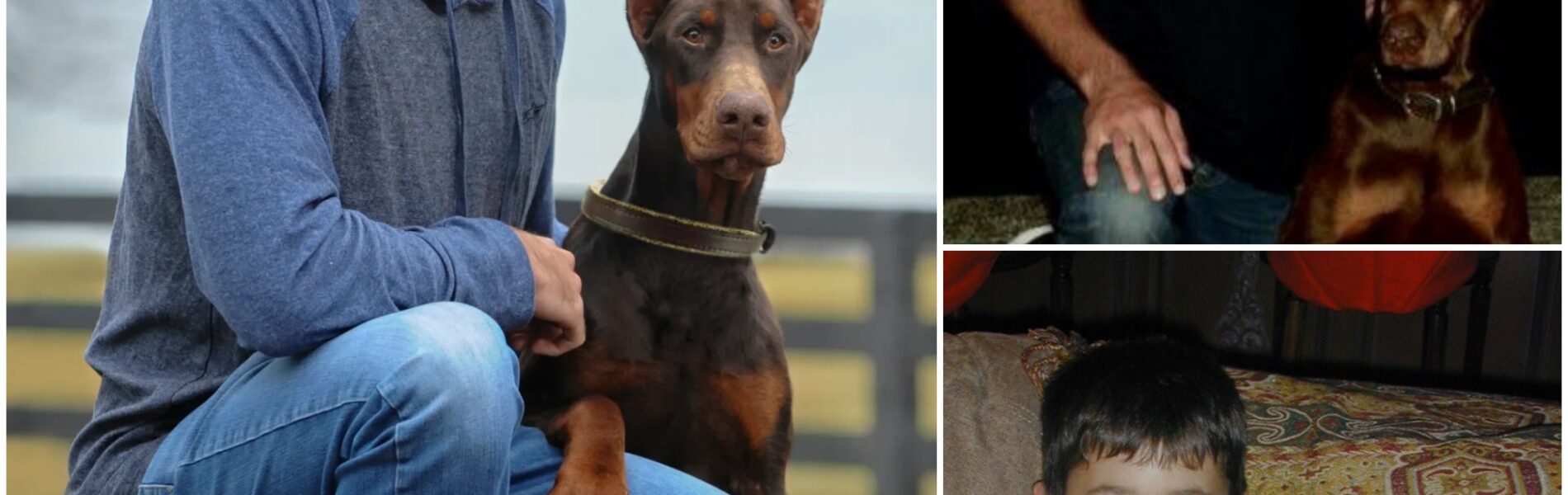 Chase Elliott broke the internet with a shocking announcement: He’s investing $5 million to build a “paradise” dedicated to rescuing stray dogs, promising love and homes to thousands of abandoned puppies.