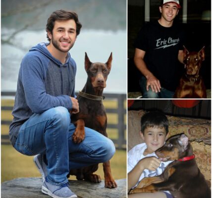 Chase Elliott broke the internet with a shocking announcement: He’s investing $5 million to build a “paradise” dedicated to rescuing stray dogs, promising love and homes to thousands of abandoned puppies.