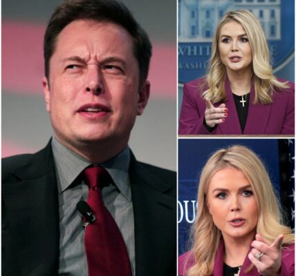 “SIT DOWN, BABY GIRL – PRIVILEGE PUPPET, HE’S JUST A TECH GUY?” Elon Musk Silences Critic in Epic Live TV Moment