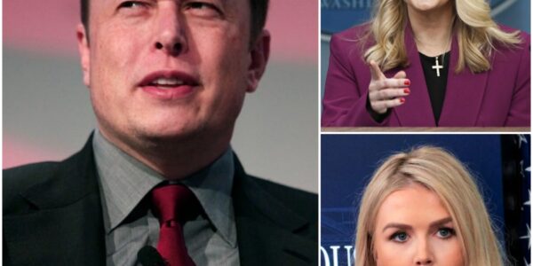 “SIT DOWN, BABY GIRL – PRIVILEGE PUPPET, HE’S JUST A TECH GUY?” Elon Musk Silences Critic in Epic Live TV Moment