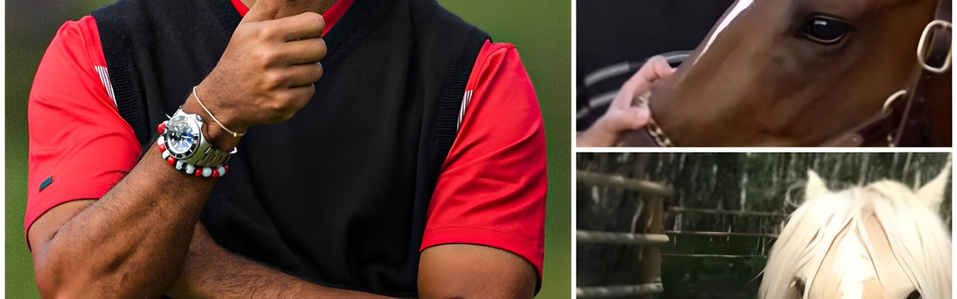 Tiger Woods Launches Freedom Ranch: A Sanctuary Offering Hope and Second Chances to Abused Horses – LU