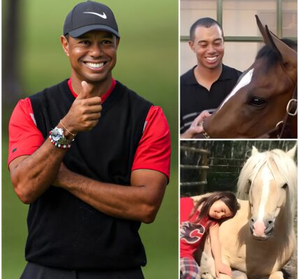 Tiger Woods Launches Freedom Ranch: A Sanctuary Offering Hope and Second Chances to Abused Horses – LU