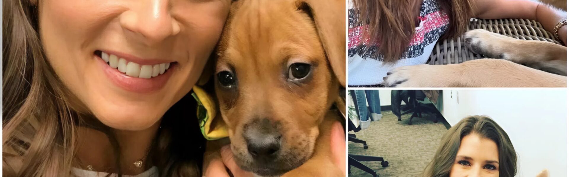 Danica Patrick vanished from cameras to save 18 stray dogs — but the handwritten note she left behind? So raw, it brought the shelter owner to tears…