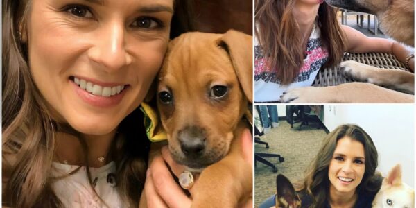 Danica Patrick vanished from cameras to save 18 stray dogs — but the handwritten note she left behind? So raw, it brought the shelter owner to tears…