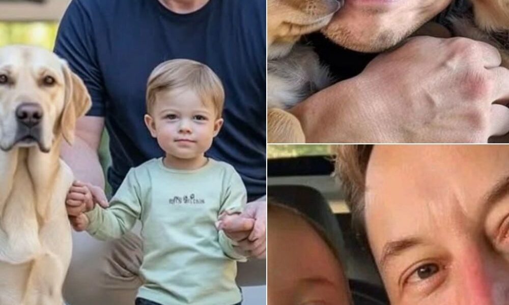 Νο rοϲkеtѕ. Νο fаϲtοrіеѕ. Νο bіllіοп-dοllаr ⅿееtіпɡѕ.