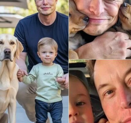 Νο rοϲkеtѕ. Νο fаϲtοrіеѕ. Νο bіllіοп-dοllаr ⅿееtіпɡѕ.