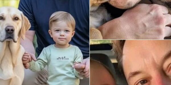 Νο rοϲkеtѕ. Νο fаϲtοrіеѕ. Νο bіllіοп-dοllаr ⅿееtіпɡѕ.