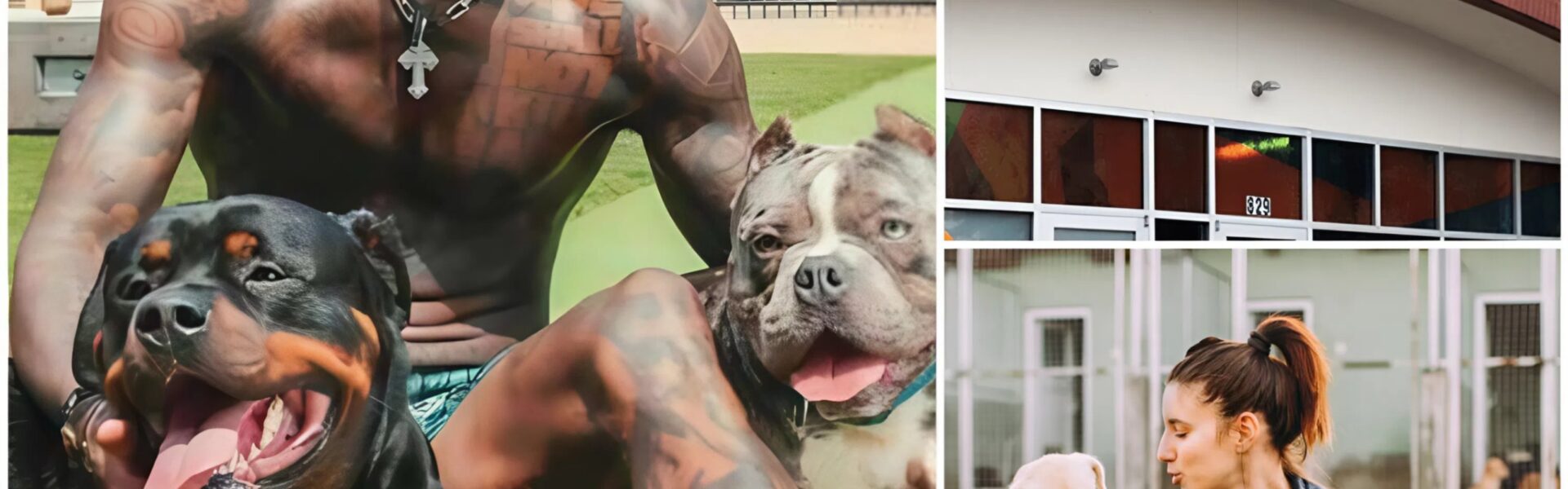 CeeDee Lamb Launches $5 Million ‘Star Haven’ Sanctuary for Abused and Abandoned Dogs Near Dallas