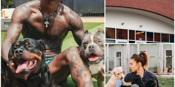 CeeDee Lamb Launches $5 Million ‘Star Haven’ Sanctuary for Abused and Abandoned Dogs Near Dallas