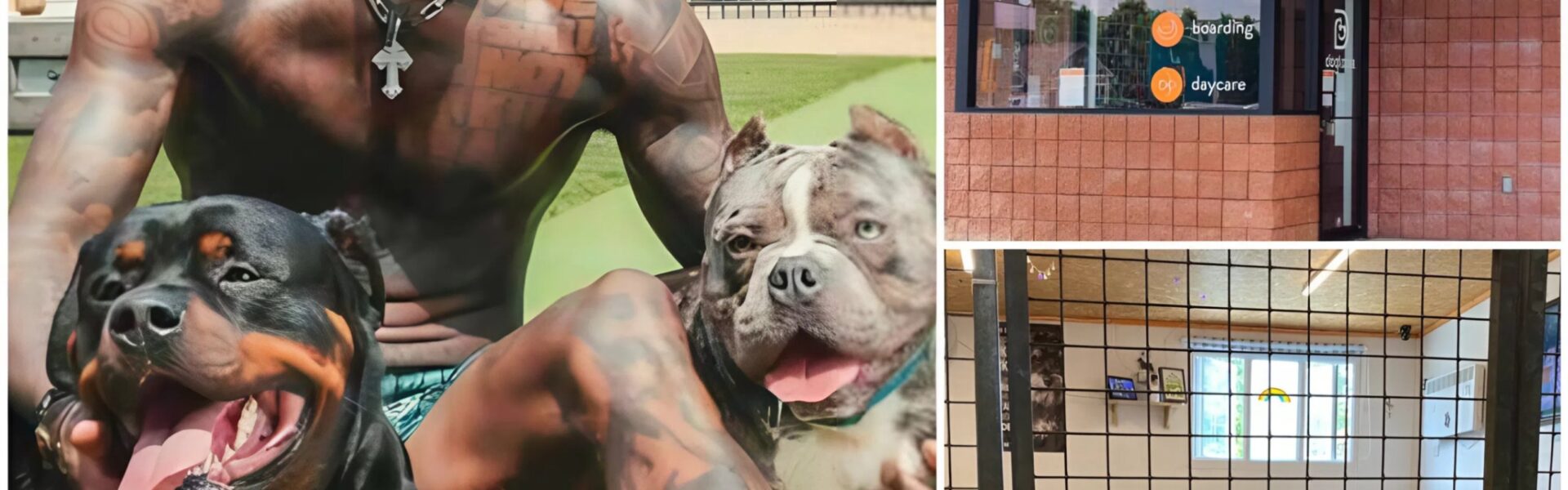 CeeDee Lamb Opens $5 Million ‘Star Haven’ Sanctuary Near Dallas to Rescue Abused and Abandoned Dogs